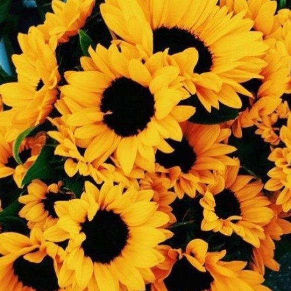 Meet your Posher, Mamaddy - Picture 1 of 1